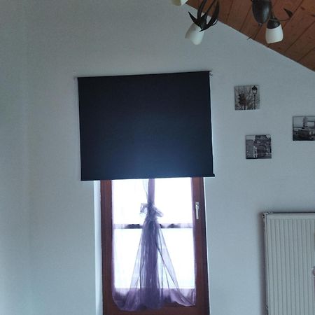 Aussergewoehnliche Atelierferienwohnung Mit Balkon An Der Donau Winzer Eksteriør bilde