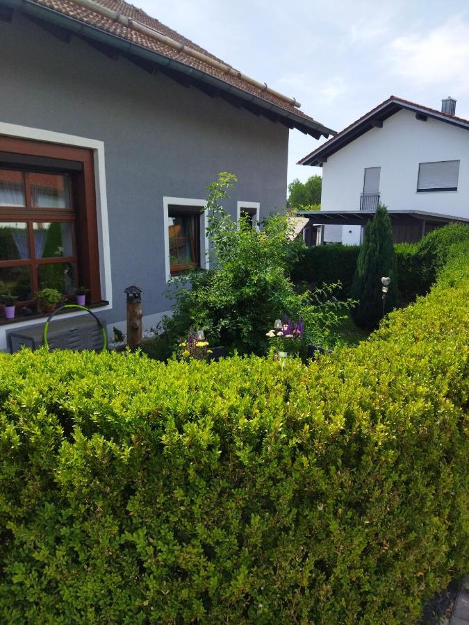 Aussergewoehnliche Atelierferienwohnung Mit Balkon An Der Donau Winzer Eksteriør bilde