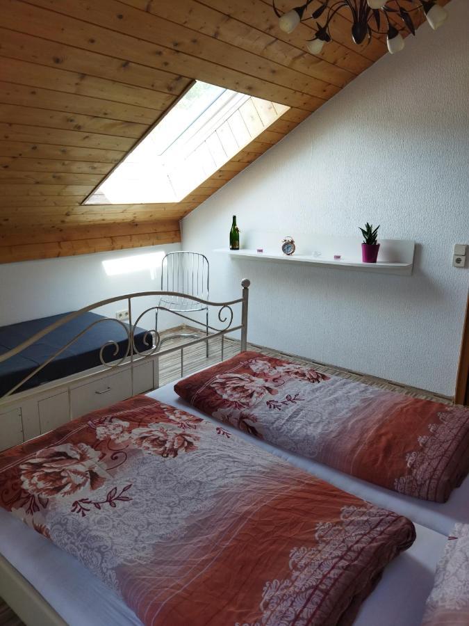 Aussergewoehnliche Atelierferienwohnung Mit Balkon An Der Donau Winzer Eksteriør bilde