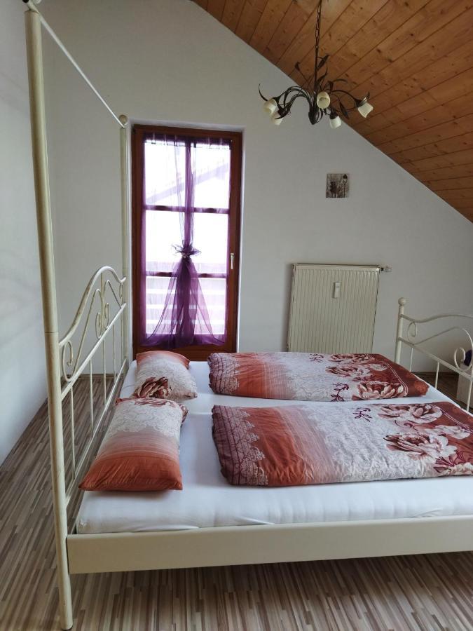 Aussergewoehnliche Atelierferienwohnung Mit Balkon An Der Donau Winzer Eksteriør bilde