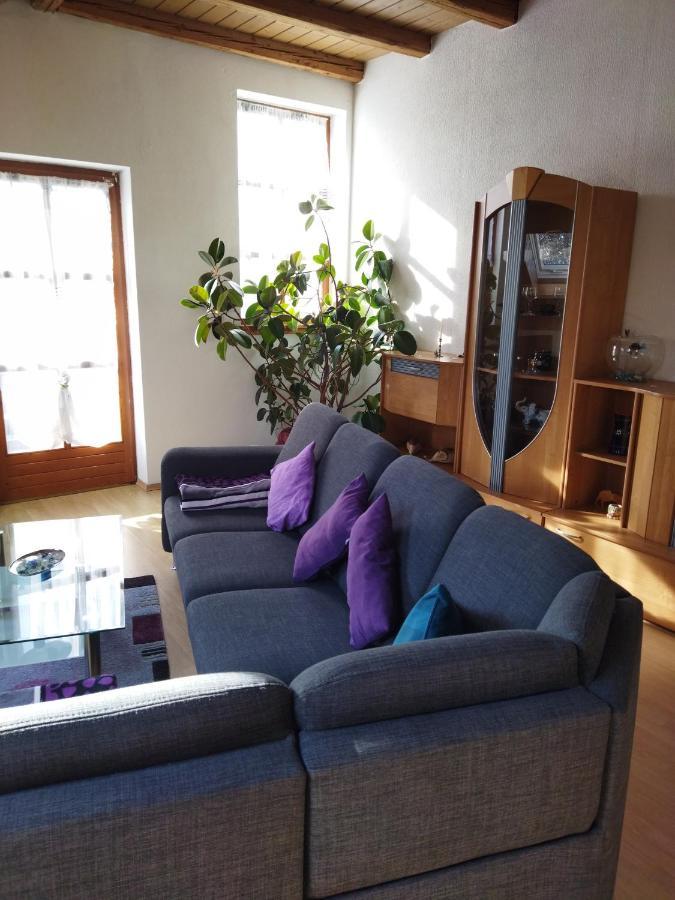 Aussergewoehnliche Atelierferienwohnung Mit Balkon An Der Donau Winzer Eksteriør bilde