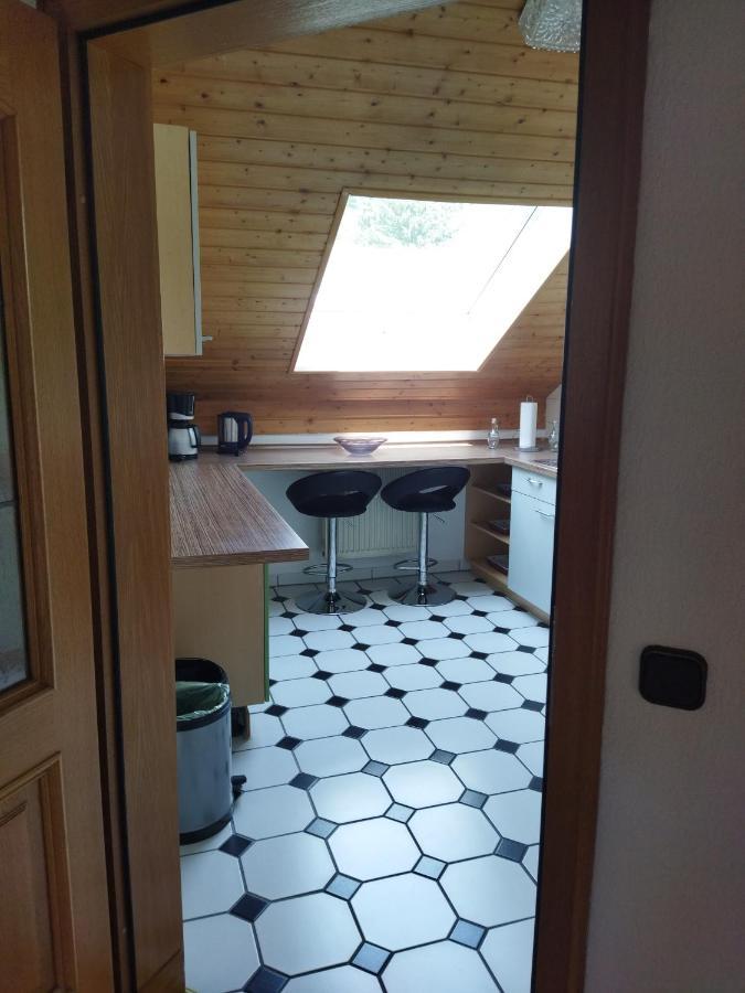 Aussergewoehnliche Atelierferienwohnung Mit Balkon An Der Donau Winzer Eksteriør bilde