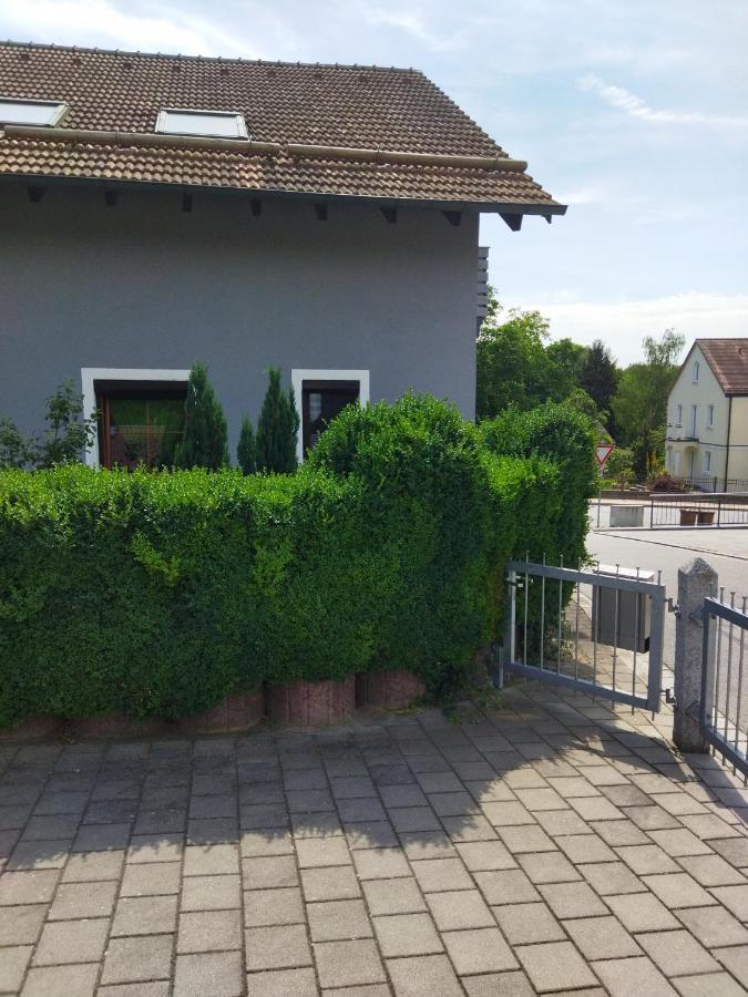 Aussergewoehnliche Atelierferienwohnung Mit Balkon An Der Donau Winzer Eksteriør bilde