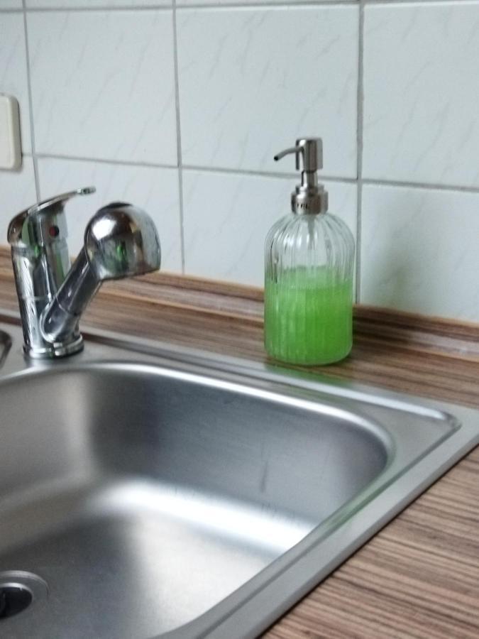 Aussergewoehnliche Atelierferienwohnung Mit Balkon An Der Donau Winzer Eksteriør bilde