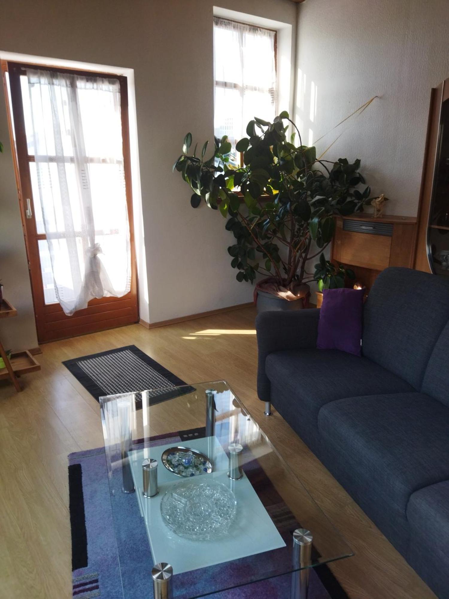 Aussergewoehnliche Atelierferienwohnung Mit Balkon An Der Donau Winzer Eksteriør bilde