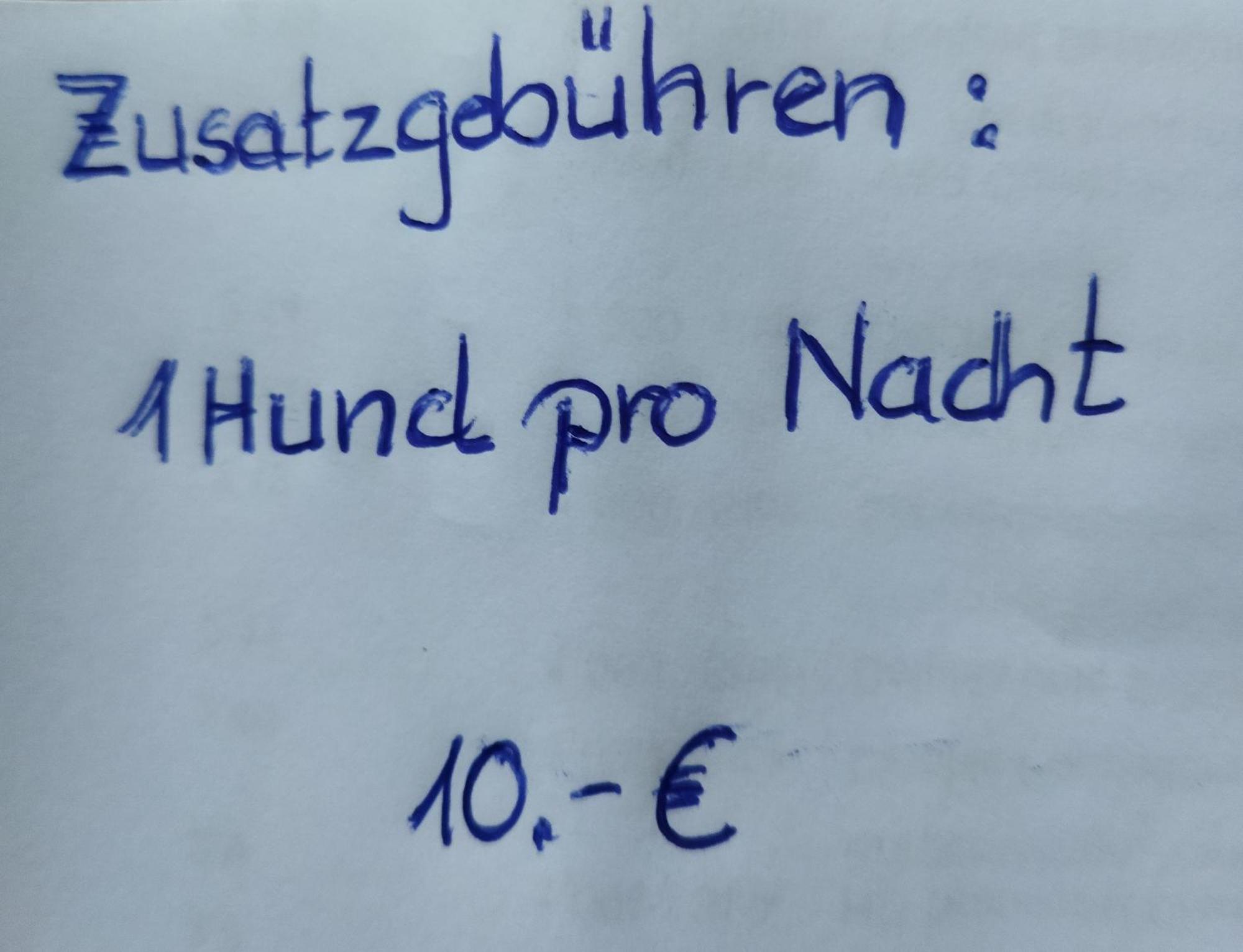 Aussergewoehnliche Atelierferienwohnung Mit Balkon An Der Donau Winzer Eksteriør bilde